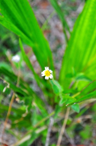 [DSC_51713.jpg]