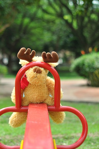 [DSC_98323.jpg]