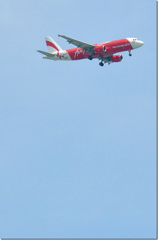 DSC_1831 (2)