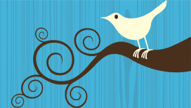 [twitter-bird[3].png]
