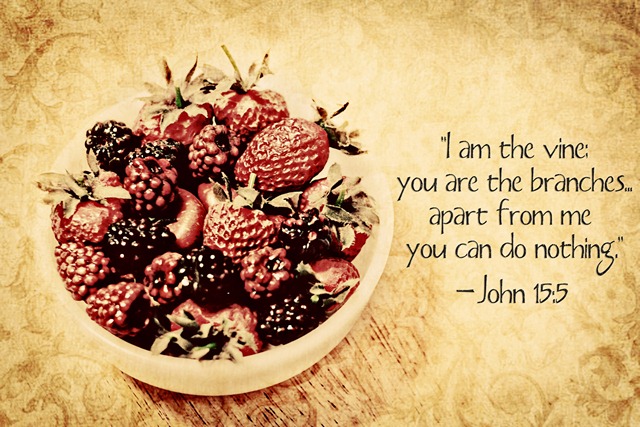 [scriptureedit[3].jpg]