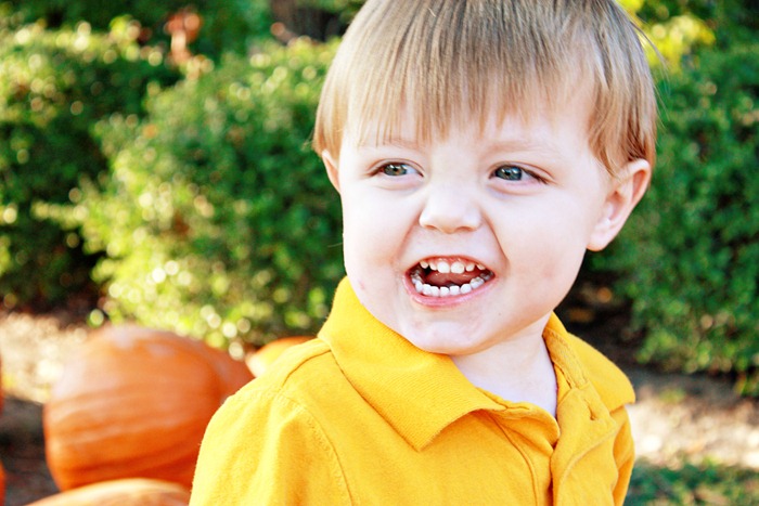 PumpkinPatch 061