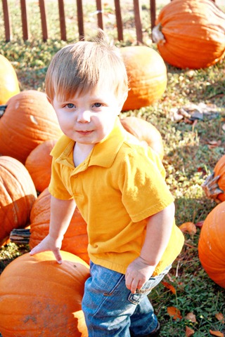 [PumpkinPatch 100[4].jpg]