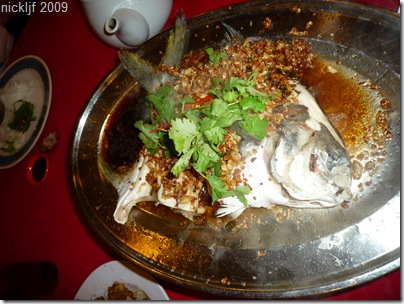 P1000906