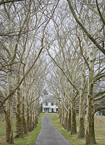 [20110328_999_6[3].jpg]