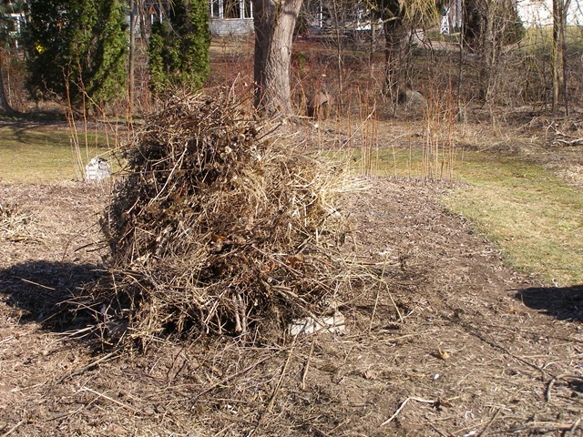 [spring10 017[3].jpg]