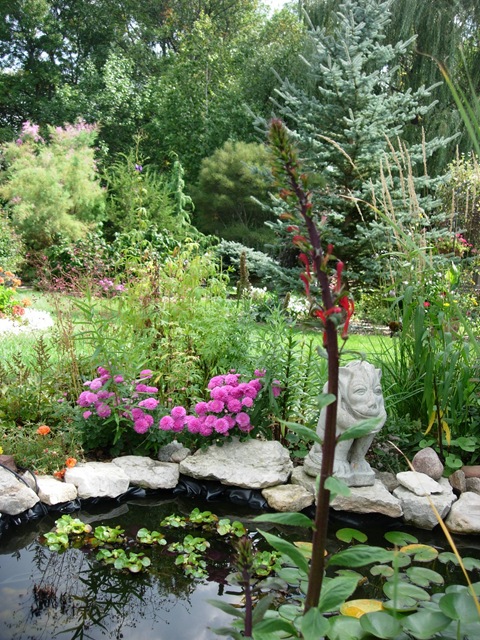 [Cardinal Flower 001[4].jpg]