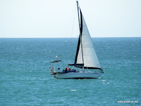 DSCF3223.JPG