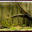 tash's aquarium garden