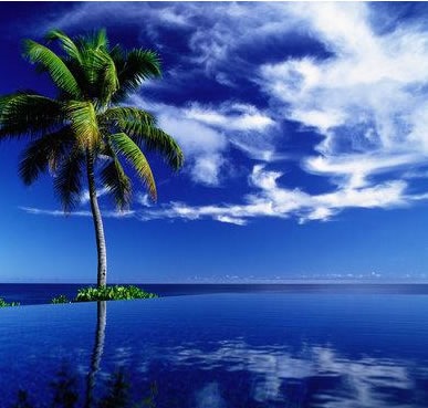 [praia brasil[5].jpg]