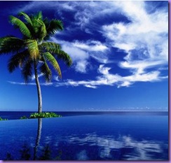 praia brasil