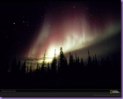 evergreens-and-aurora-727719-xl