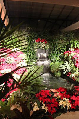 poinsettia tree display