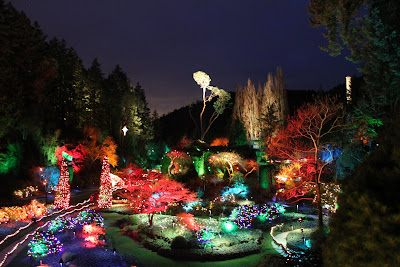 The Sunken Garden