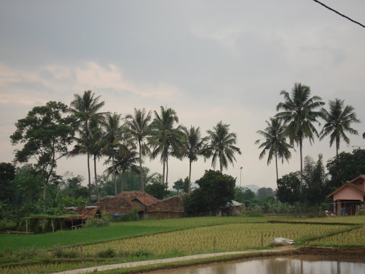 DSC06051.JPG