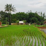 DSC_7634.JPG