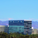 Hard Rock Hotel By: Lanie Crossman