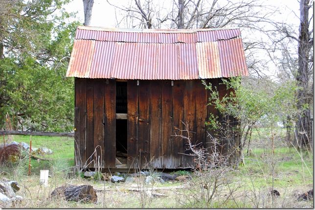 DSC_0110 DSC_0110