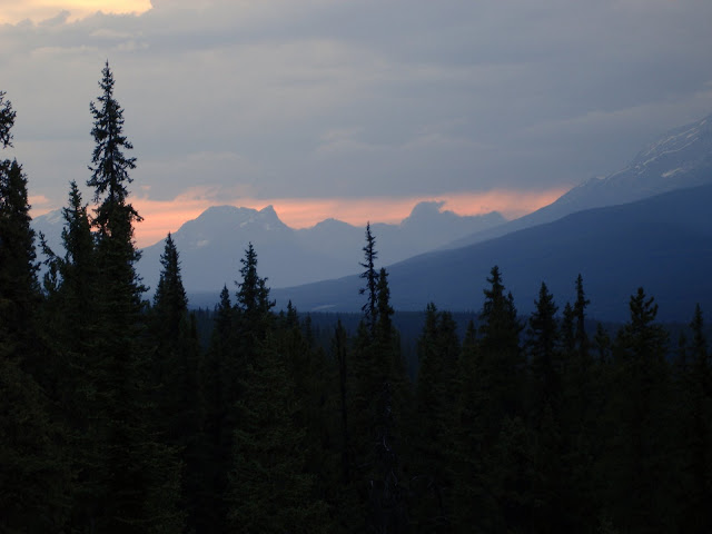 DSC03003.JPG