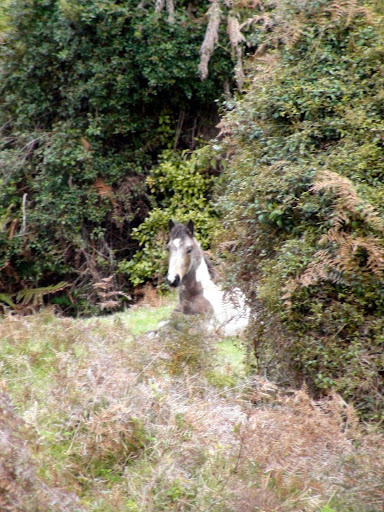DSC05366.JPG