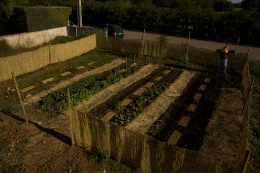 Hort de Nuredduna Hort de Nuredduna