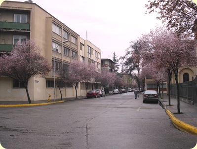 DSC05075