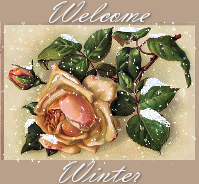 [welcomewinterrose[3].png]