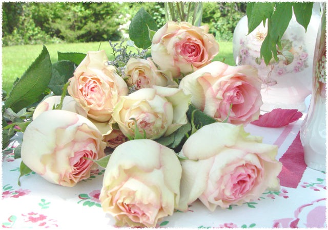 [Roses #900 experiment[5].jpg]