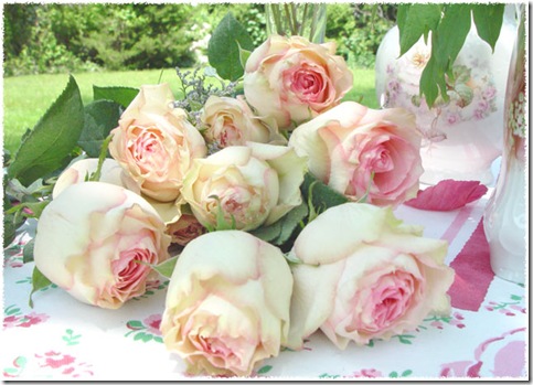 Roses #900 experiment