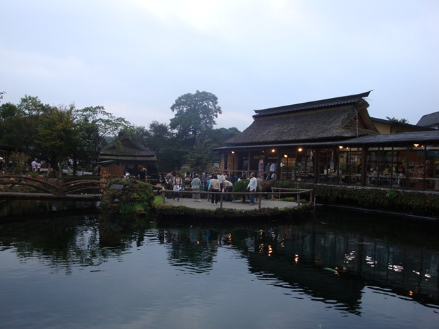 [DSC00691[3].jpg]