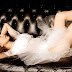 Sayaka Araki - Perfume of beauty (21)