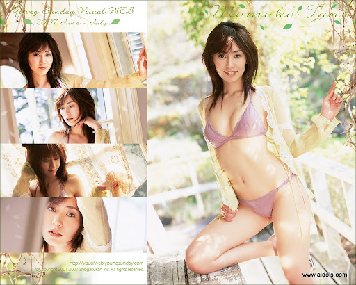 Momoko Tani - YS-Web - Vol.213 F Cup (1/80) (1/80)