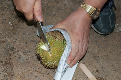 Opening durian