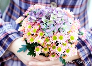 [3_10114163533[17].jpg]