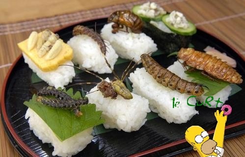 [Sushi de Inseto 01[2].jpg]