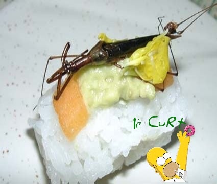 [Sushi de Inseto 08[2].jpg]