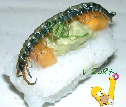 [Sushi de Inseto 12[2].jpg]