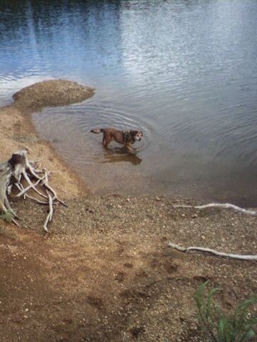 [CatamountReservoir_20090705 013[2].jpg]