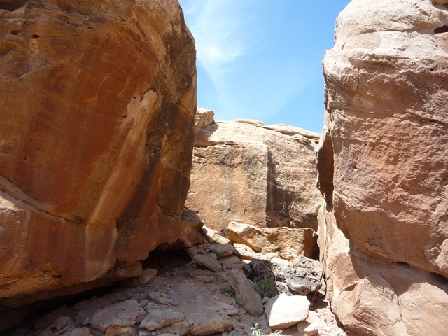 [P10505793.jpg]