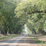 DSC02209.JPG