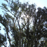DSC02226.JPG