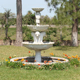 DSC02186.JPG