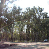 DSC02233.JPG