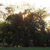 DSC00418.JPG