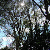 DSC02088.JPG