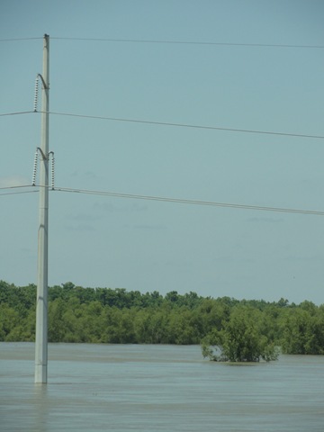 [telephone poles[3].jpg]
