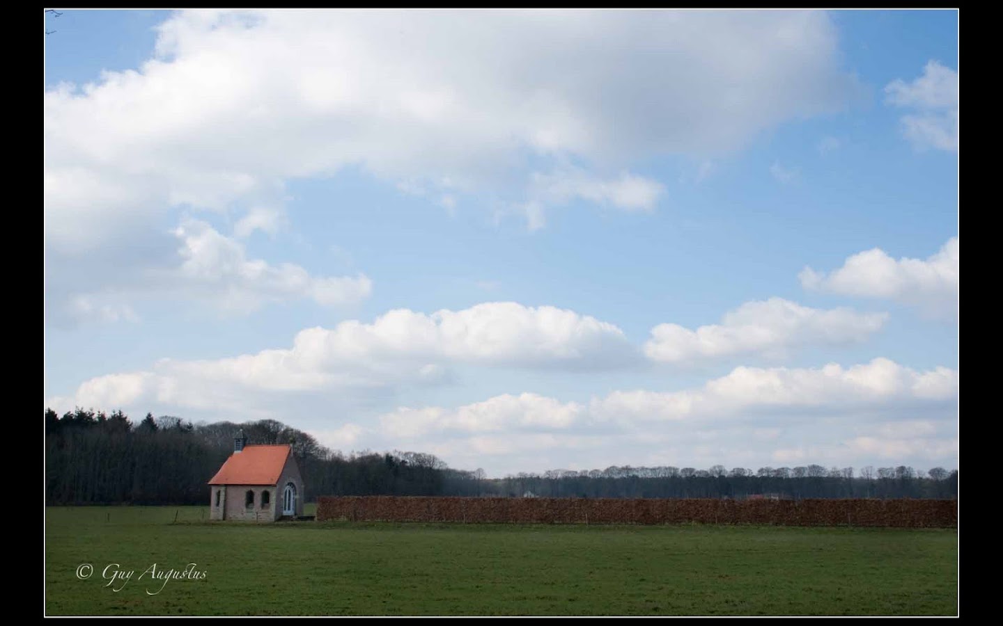 argazkia Westmalle boswandeling 9.5km