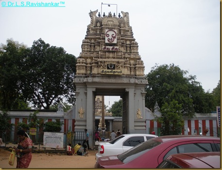 DSCN1943 DSCN1943