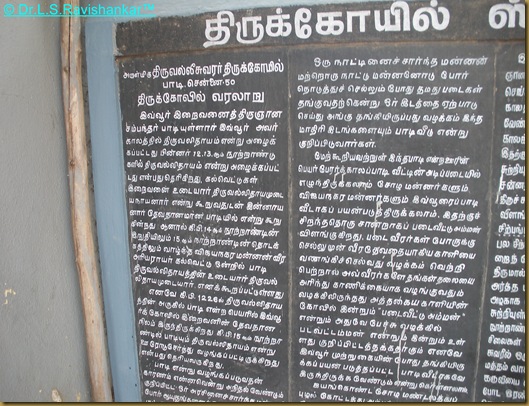 DSCN1940 DSCN1940