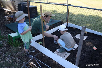 planting